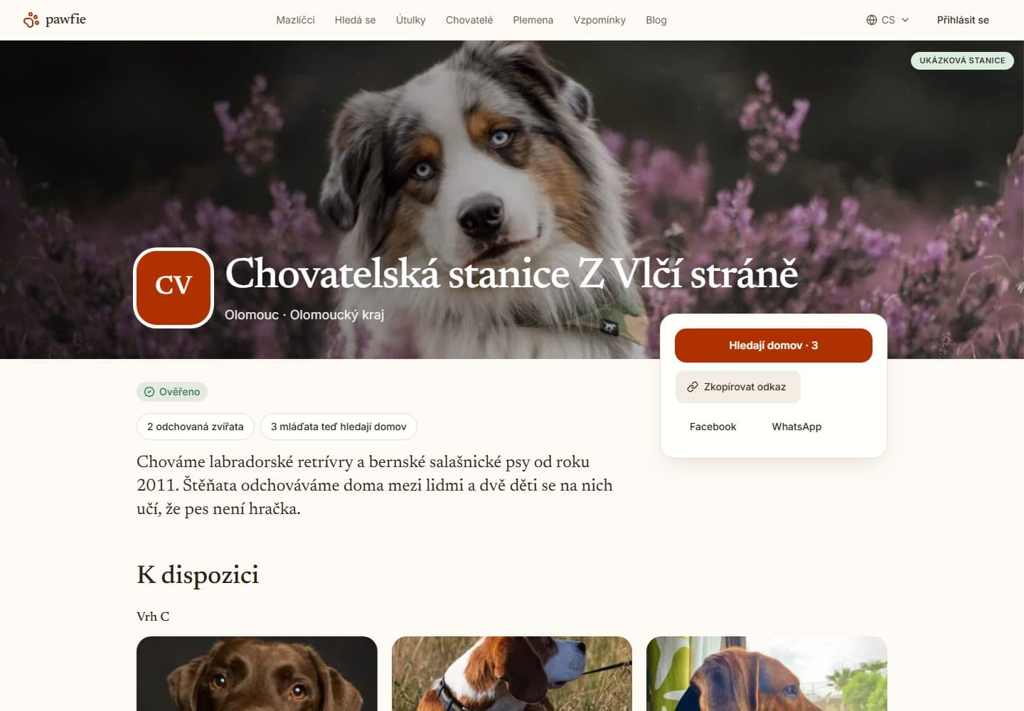 Stránka ukázkové stanice na počítači