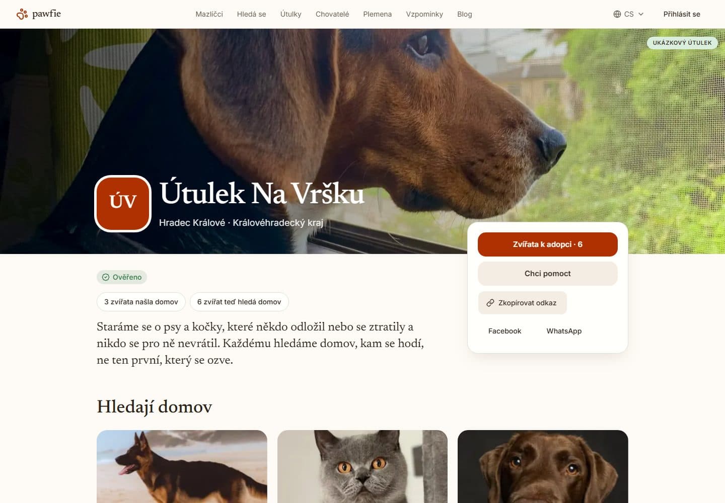 Stránka ukázkového útulku na počítači